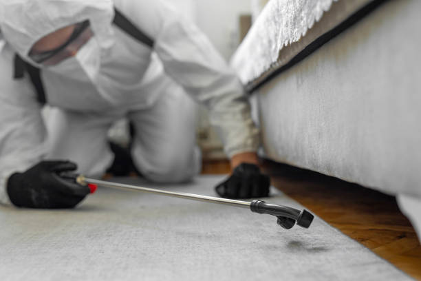 Professional Bed Bug Control technician working in Anderson County County, SC